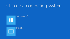 How to dual boot windows 10 and Linux